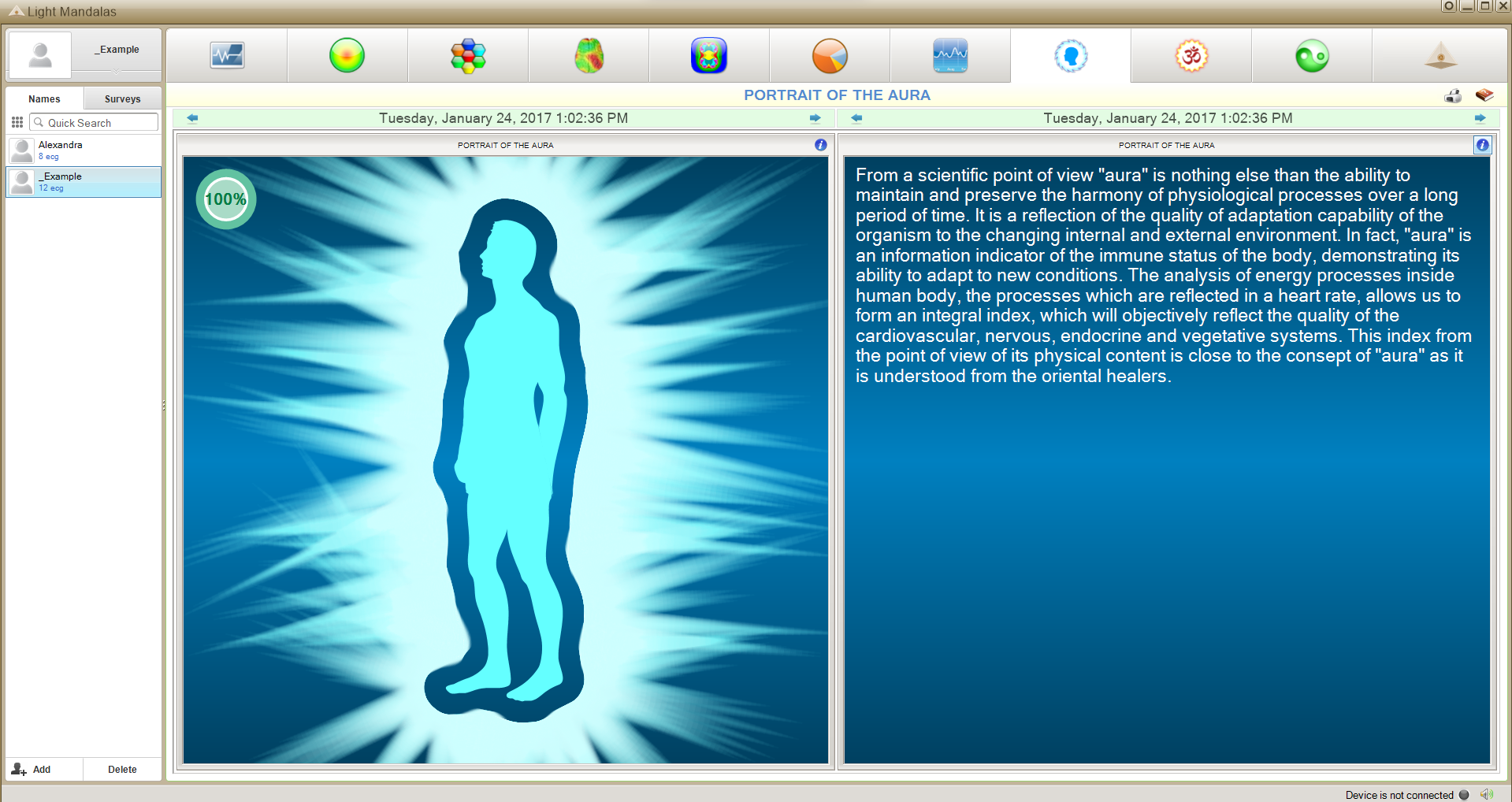 lightmandalas biomatrixscan auricfield
